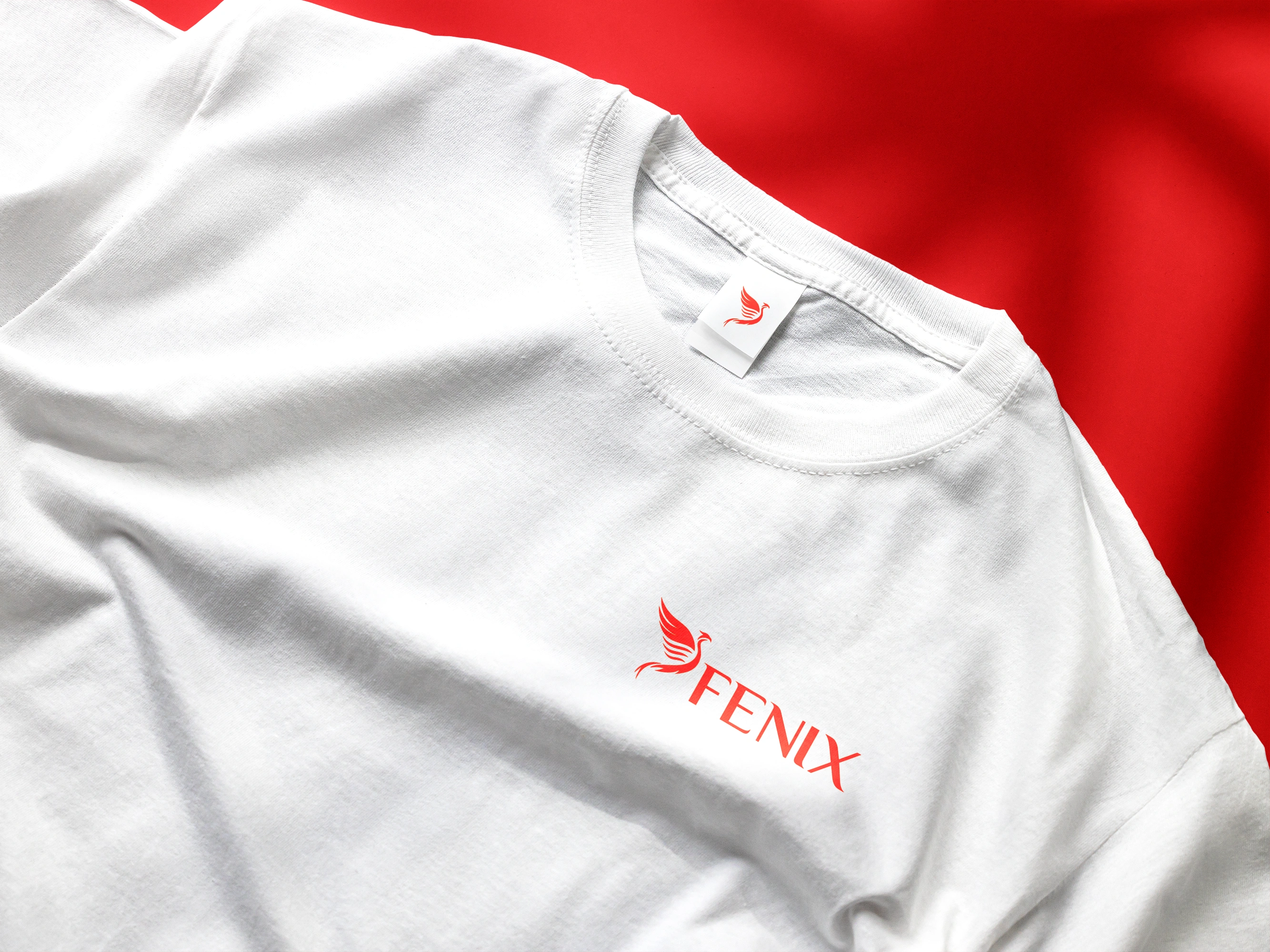 Fenix Project Image 6